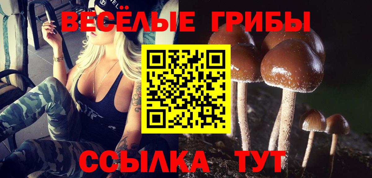 Галлюциногенные грибы Magic Shrooms  Вход с VPN  где купить наркоту  Саров  Псилоцибиновые грибы мухоморы 