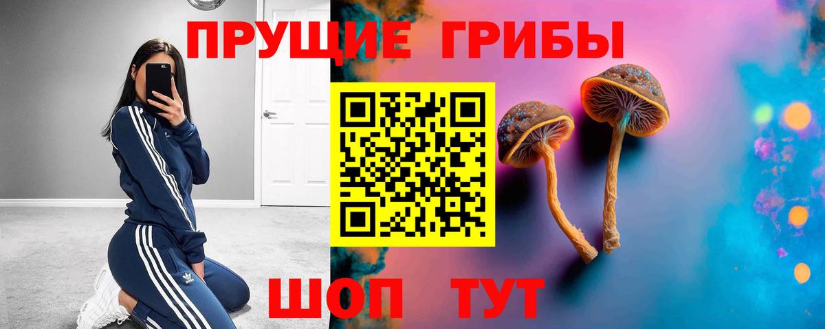 Псилоцибиновые грибы Cubensis Саров